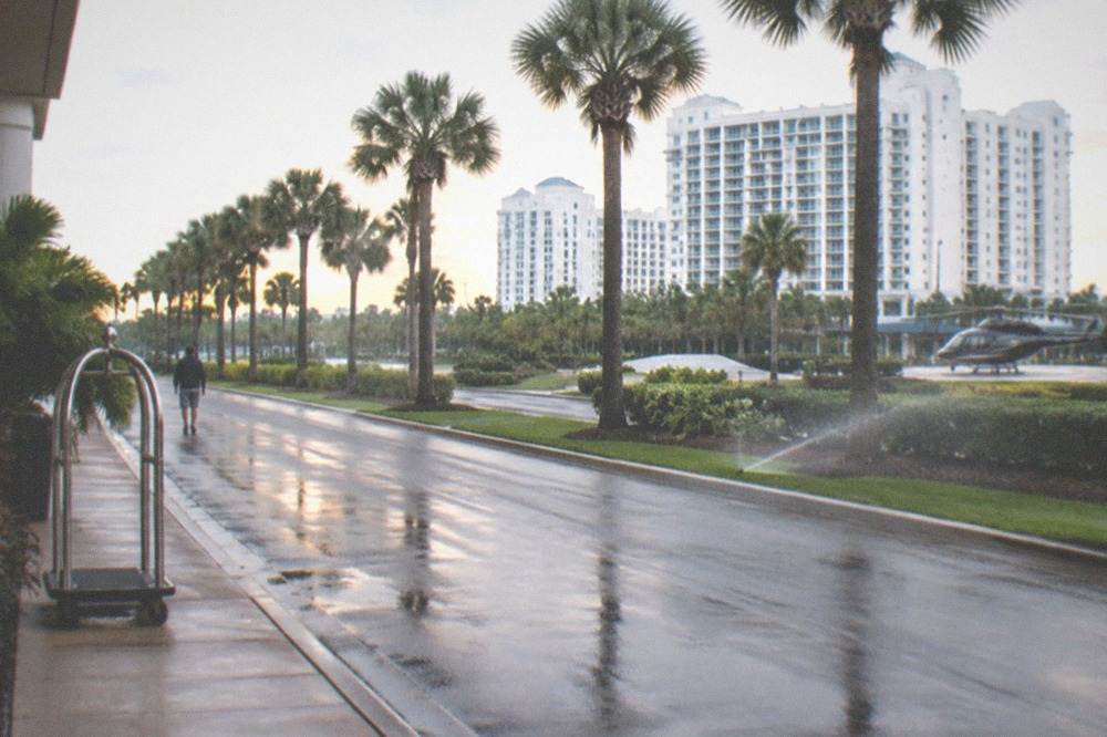 A Florida resort road with palm trees and hotel towers under a clear morning sky