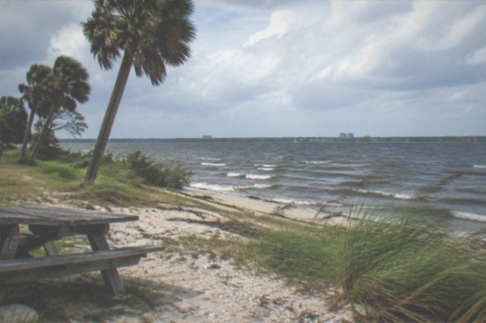Large open lake with a grassy shoreline, palm trees, and a wide blue sky